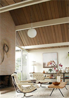 CASTORE LAMPADA A SOSPENSIONE