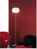 LUCCIOLA LAMPADA DA TERRA