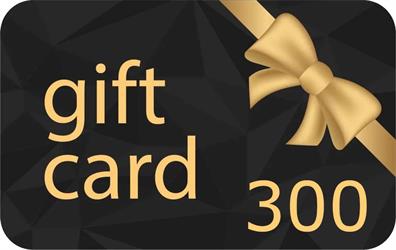 GIFT CARD 300 EURO