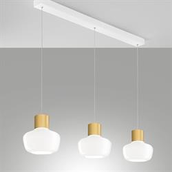 FABSO219